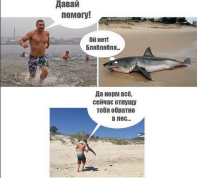 Прикрепленное изображение: 4ed9b8477223750f637dac5f452549f98f9b3f3c90526b9a2f65b5d99ecc2d46.jpg